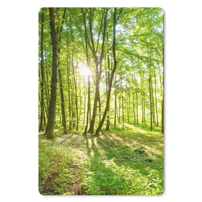 Obrázek produktu pro Podložka pod myš - Příroda - Stromy - Les - Zelený - Sluneční světlo - 18x27cm - Podložka pod myš