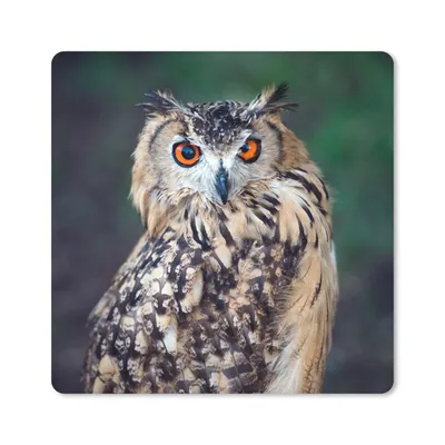 Produktbild von MuchoWow® Mauspad Mousepad Eule 20x20 cm - Mousepads - Maus Mat - Pad - Mausunterlage - Desk Mat - Bureauartikeln