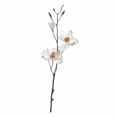 Immagine prodotto di Magnolia 80 bianco Fiore