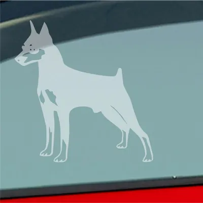 Produktbild von Auto Aufkleber Zwergpinscher Hund Dog Animal 10x10 cm Milchglas Sticker Heckscheibenaufkleber