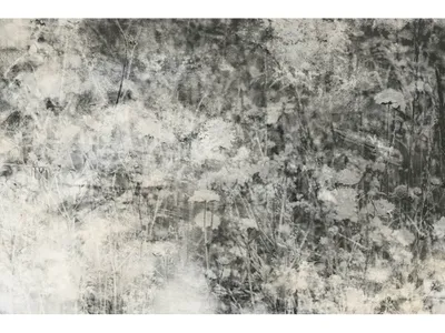 Obrázek produktu pro Fototapeta - Příroda šedá abstraktní 375x250cm - netkaná tapeta