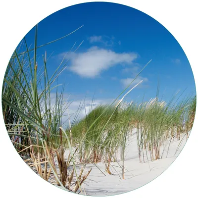 Produktbild von Wallario Premium Glasbild, freischwebende Optik, kräftige Farben, rund 50cm Durchmesser, Motiv Düne am Strand unter blauem Himmel