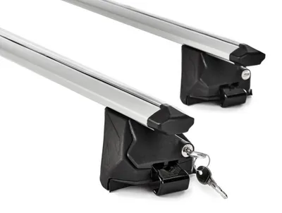 Immagine prodotto di Greenvalley Greenvalley portapacchi in alluminio 120 cm - Portapacchi robusto e leggero in argento