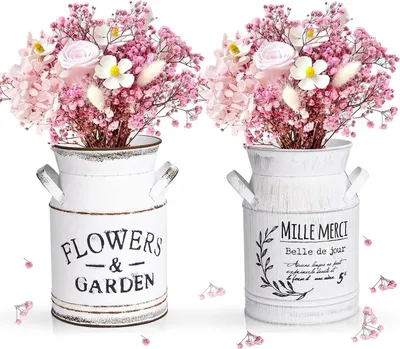 Produktbild von Vintage Blumenvasen, 2 Stück, Vintage Milchkanne, Blumenvasen, Milchkanne, Blumentopf Shabby, Landhausstil, dekorative Vase, rustikal, vintage, Blumenvasen, Herz, Milchkanne für Garten, Tischdekoration