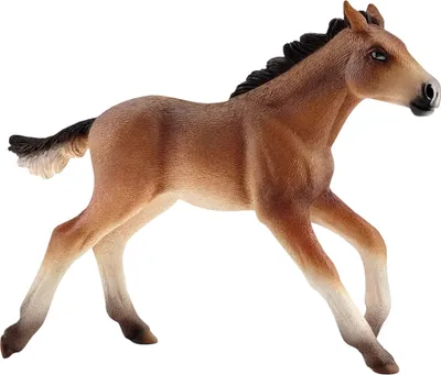 Obrázek produktu pro Schleich, Figurka Poulain Mustang, hnědá