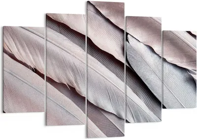 Produktbild von Bild auf Leinwand - Leinwandbild - 5 Teile - Federn Flügel Feder - 150x100cm - Wand Bild - Wanddeko - Wandbilder - Leinwanddruck - Bilder - Wanddekoration - Leinwand bilder - Wandbild - EA150x100-5114