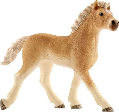 Produktbild von Schleich Haflinger Fohlen 13814