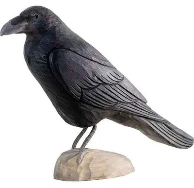 Produktbild von Wildlife Garden Dekovogel Rabe