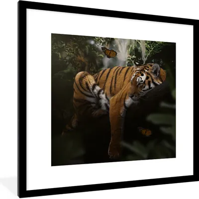 Produktbild von MuchoWow® MuchoWow® Gerahmtes Poster Schmetterling - Dschungel - Tiger 40x40 cm - Poster mit zchwarzem Bilderrahmen - Poster - Plakat im Rahmen