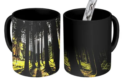 Obrázok produktu pre MuchoWow® Magický pohár Strom - príroda - slnko - les 350 ml Pohár na zmenu farby Darček Nápad na darček - Foto hrnček
