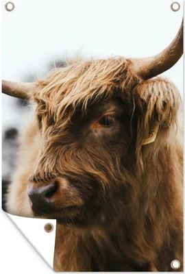 Produktbild von MuchoWow® 40x60 cm Outdoor-Poster Gartendeko Sichtschutz Garten Poster für den Garten  Schottischer Highlander - Tiere - Hörner