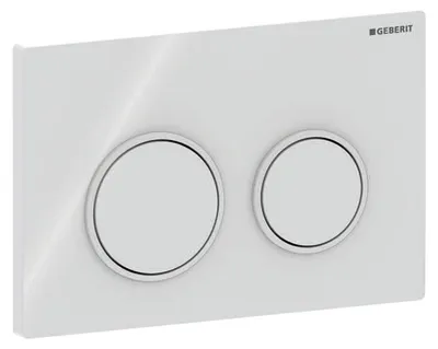 Immagine prodotto di Geberit Omega20 Plaque de déclenchement, pour rinçage à 2 quantités, 115.085.11.1, 115.085.11.1