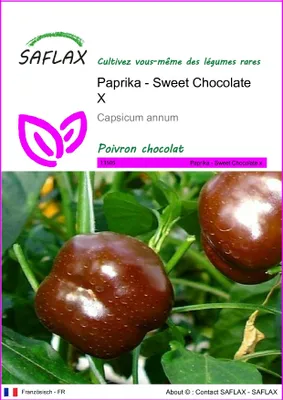 Image de SAFLAX  - Paprika - Sweet Chocolate X - 10 graines - Capsicum
