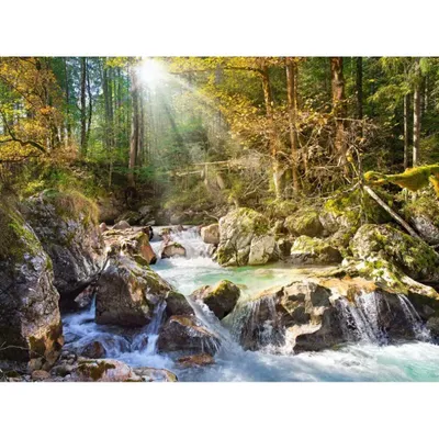 Produktbild von CASTORLAND Puzzle Fluss im Wald 2000 Teile