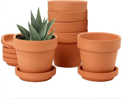 Produktbild von Set aus 6 Mini-Terrakotta-Pflanzkübeln 8 x 8 cm mit Unterlage und Abflussloch - Blumenschalen für Zimmerpflanzen - Terrakotta-Kübel inklusive Servierteller - perfektes Hochzeitsgeschenk