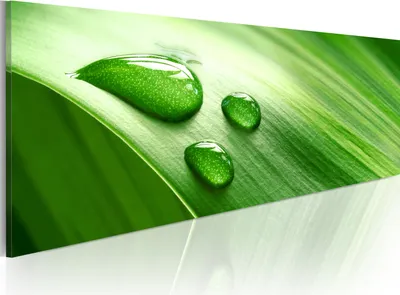 Produktbild von Modernes Wandbild 9060123 (120x40) - 1 Teilig Bilder Fotografie auf Vlies Leinwand Foto Bild Dekoration Wand Bilder Kunstdruck