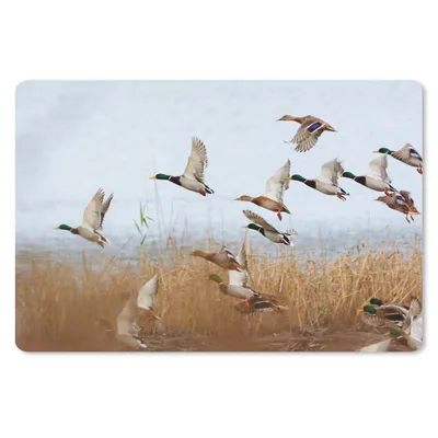 Produktbild von MuchoWow® Mauspad Mousepad Ente - Vogel - Schilf - Wasser - Enten 27x18 cm - Mousepads - Maus Mat - Pad - Mausunterlage - Büroartikel - Desk Matten