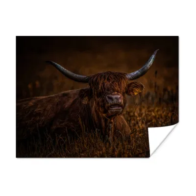 Obrázok produktu pre MuchoWow® Plagát - Škótska horalka - Lúka - Hnedá - 120x90