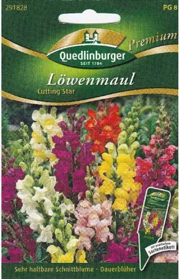 Produktbild von Quedlinburger Saatgut - Löwenmaul Cutting Star - Samen - 291828