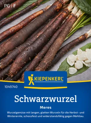 Produktbild von Kiepenkerl Schwarzwurzelsamen Meres Scorzonera hispanica 3-4 lfd. Meter