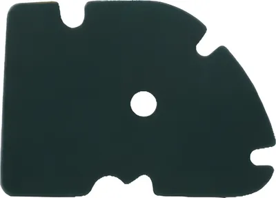 Immagine prodotto di Filtro dell'aria in spugna di poliuretano, a celle aperte, compatibile con Piaggio X8 125 M36