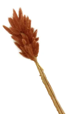 Produktbild von 1 Set Trockenblumenstrauß Romantische Osterfeier Hasenschwanz Haushaltsprodukte