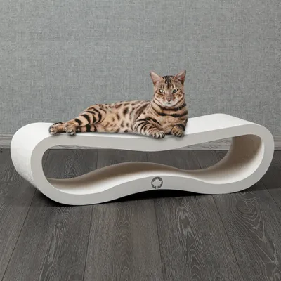 Produktbild von Orbit 2.0 Kratzbrett · WHITE EDITION