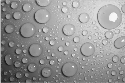 Produktbild von Wallario Wandbild Wassertropfen in schwarz weiß, Größe: 61 x 91,5 cm, Poster mit rahmenlosen Bildhalter