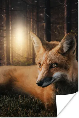 Produktbild von MuchoWow® Poster Fuchs - Dschungel - Baum 120x180 cm - Kunstposter