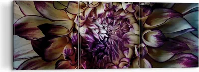 Produktbild von Bild auf Leinwand - Leinwandbild - 3 Teile - Blätter Agave Blume - 120x40cm - Wand Bild - Wanddeko - Wandbilder - Leinwanddruck - Bilder - Wanddekoration - Leinwand bilder - Wandbild - CA120x40-5122
