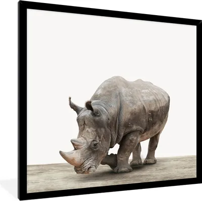 Produktbild von MuchoWow® Gerahmtes Poster Nashorn - Jungen - Wildtiere - Kinder - Mädchen - Tiere 40x40 cm - Poster mit Schwarzem Bilderrahmen Wandposter Rahmen Foto Bilder - Mit Rahmen - Wanddekoration Schlafzimmer