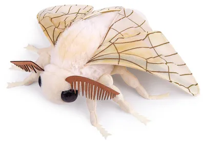 Image de Solidchoice - Jouet en peluche réaliste représentant un papillon, idéal pour les enfants