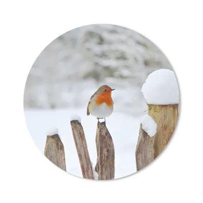 Produktbild von MuchoWow® Mauspad Mousepad Vogel - Zaun - Schnee 40x40 cm - Mousepads - Maus Mat - Pad - Mausunterlage - Schreibtisch Accessoires