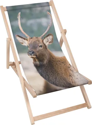 A wooden deck chair with a printed image of a deer on the fabric.