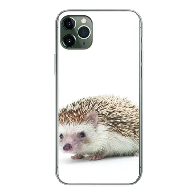 Produktbild von MuchoWow® Handyhülle Schutzhülle Hülle für iPhone 11 Pro Max Igel - Tiere - Weiß Silikon Softcase Handy Hülle - Schutz