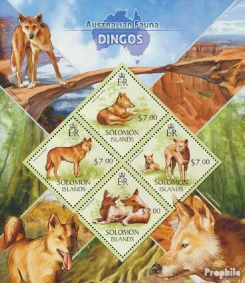 Produktbild von Briefmarken Salomoninseln 2013 Mi 1982-1985 Kleinbogen (kompl. Ausg.) postfrisch Dingos