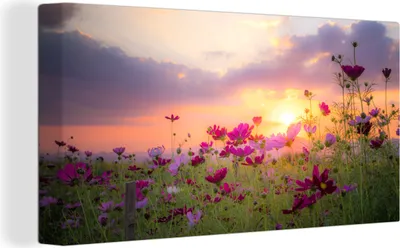 Produktbild von OneMillionCanvasses® - Leinwandbilder - Bild auf Leinwand Wandbild Leinwandbild Blumen - Rosa - Sonnenuntergang - Natur - Wiese - Horizont, 80x40 cm, Kunstdruck Wandkunst Gemälde auf Holzrahmen - Bilder auf Leinwand