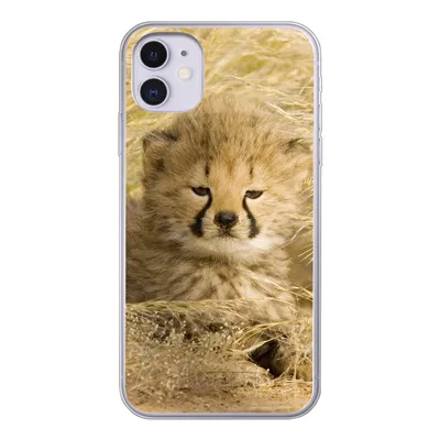 Produktbild von MuchoWow® Handyhülle Schutzhülle Hülle für iPhone 11 Gepard - Jung - Gras Silikon Softcase Handy Hülle - Handytasche