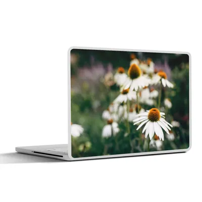 Produktbild von MuchoWow® Laptop Aufkleber Sticker Cover Blumen - Herbst - Botanisch 30x22 cm - Laptop-Sticker