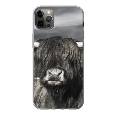 Produktbild von MuchoWow® Handyhülle Schutzhülle Hülle für iPhone 12 Pro Max Schottischer Highlander - Tiere - Hörner Silikon Softcase Handy Hülle - Hartschale