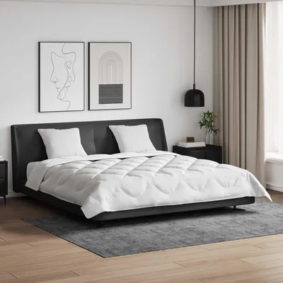 Immagine prodotto di Piumino in microfibra con 2 cuscini, dimensioni 240 x 200 cm