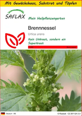Produktbild von SAFLAX Anzucht Set - Brennnessel - Urtica urens - 150 Samen - Mit Mini-Gewächshaus, Anzuchtsubstrat und 2 Töpfen