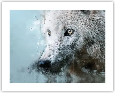 Produktbild von Poster - Poster ohne Rahmen - Weiß Der Wolf Bild - 50x40 cm - Wand Bild - Wanddeko - Wandbilder - Kunstposter - Wandposter - Bilder - Kunstdruck - Wanddekoration - Wandbild - P2XAA50x40-4623