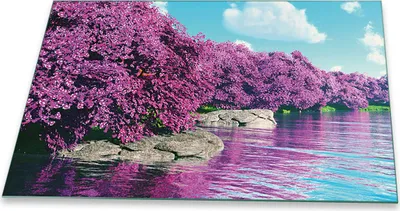 Produktbild von Herdabdeckplatte Glaskeramikkochfeld-Abdeckung Spritzschutz Glas Universal 80x52 Landschaft