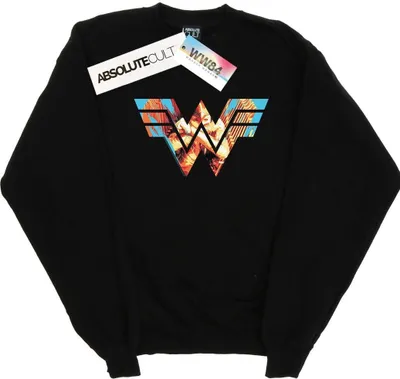Produktbild von DC Comics - "84" Sweatshirt für Damen BI48309 (M) (Schwarz)