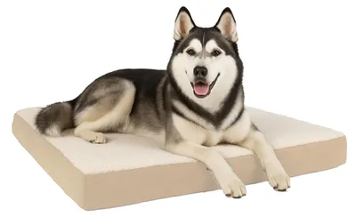 Produktbild von Petmaker Orthopädisches Hundebett – 2-lagige Memory-Schaum-Matte mit maschinenwa