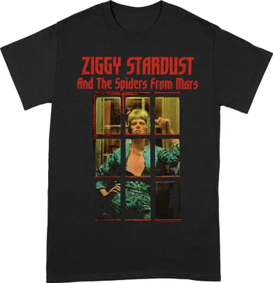 Produktbild von David Bowie - T-Shirt für Herren/Damen Uni BI313 (4XL) (Schwarz/Rot)