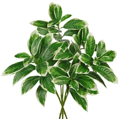 Produktbild von Künstliche Ficus-Zweige für Vasen – Realistische, grüne Dekoration