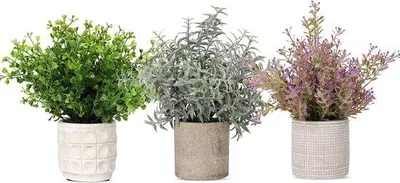 Immagine prodotto di Famanu: Set di 3 mini piante artificiali con vasi decorativi