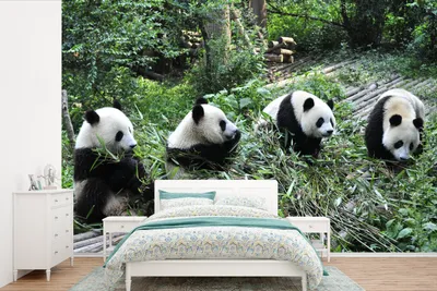Produktbild von MuchoWow® Fototapete für Wohnzimmer oder Schlafzimmer Wandtapete Vinyl Motivtapete Panda - Natur - Bambus - 525x350 cm - Das Hintergrundbild